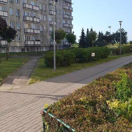 דירות אלבלאג Apartament Wik-Mar מראה חיצוני תמונה